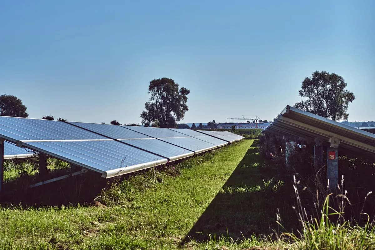 Panneaux solaires installés sur une prairie, illustration des conditions de l'agrivoltaïsme