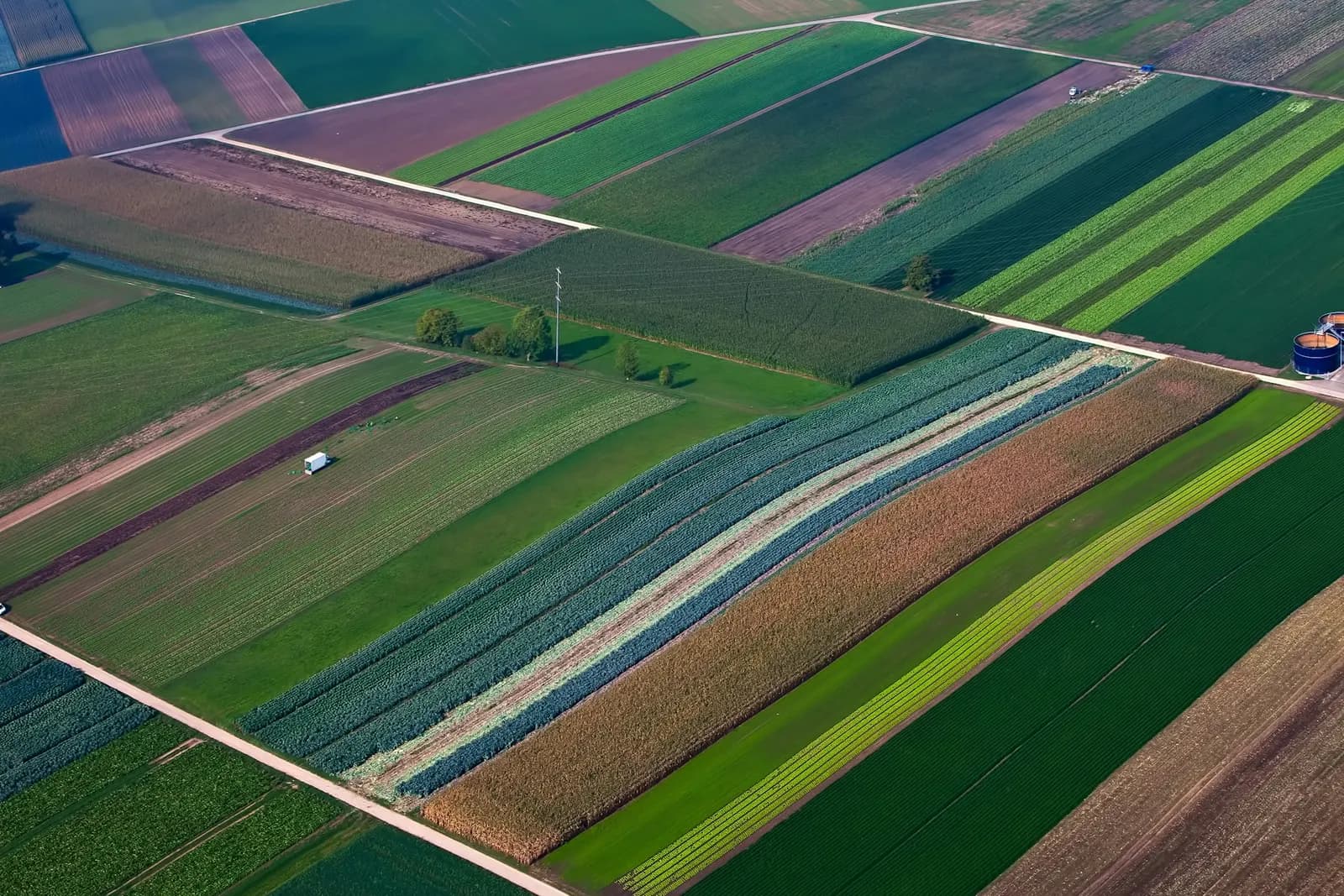 Vue aérienne de parcelles agricoles aux cultures variées, image de la diversification agricole