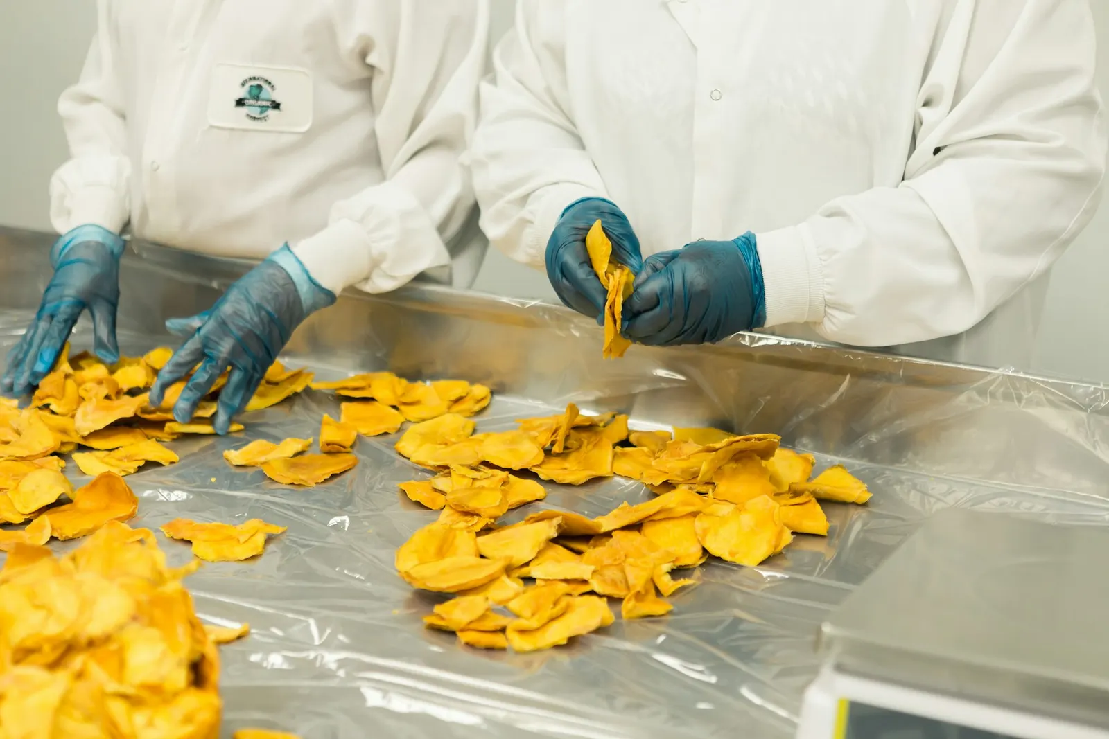 Opérateurs en blouse et gants manipulant des fruits séchés, bonnes pratiques d'hygiène HACCP