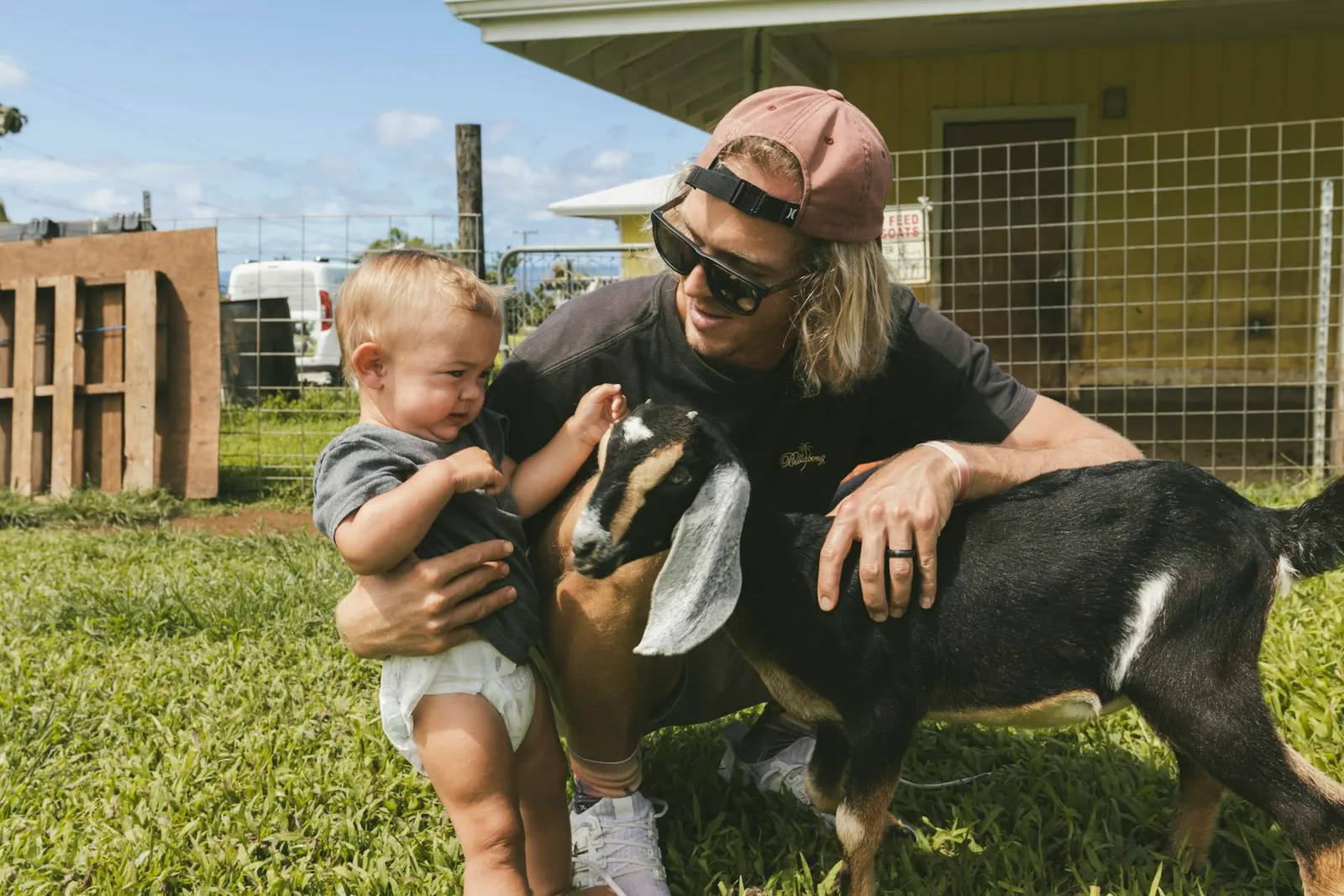 Adulte et jeune enfant caressant une chèvre lors d'une visite de ferme pédagogique