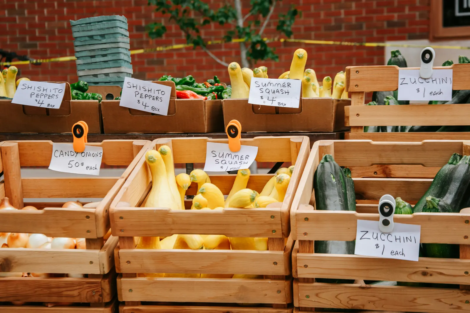 Cagettes de courgettes et de courges avec leurs prix, en vente directe à la ferme